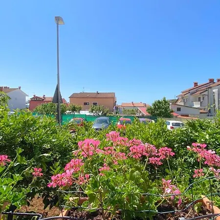 Vinka A3 Διαμέρισμα *