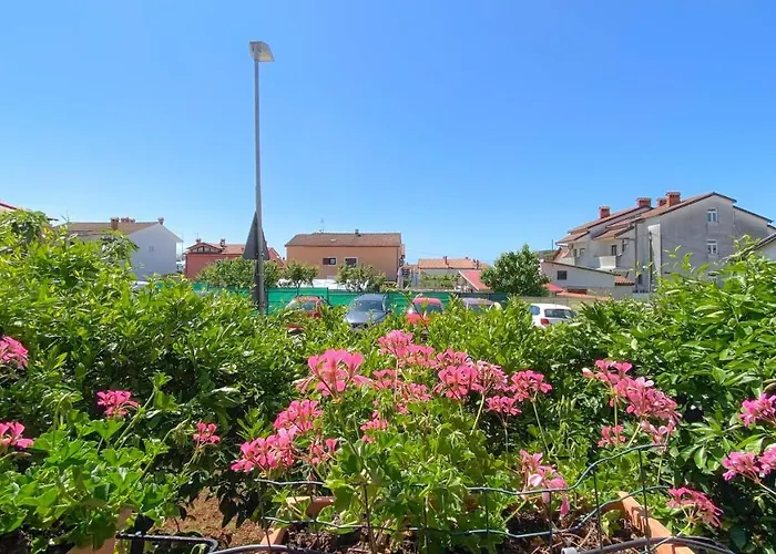 Vinka A3 Διαμέρισμα *