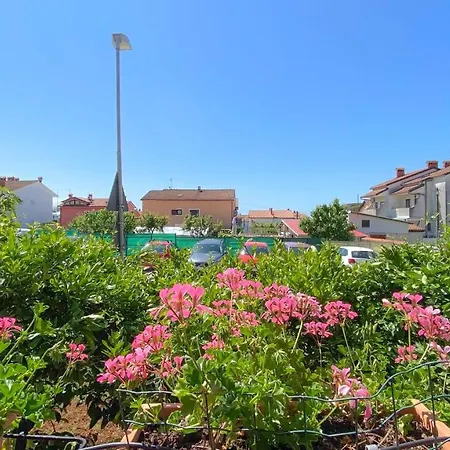 Vinka A3 Apartment *